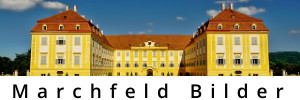 Marchfeld Bilder