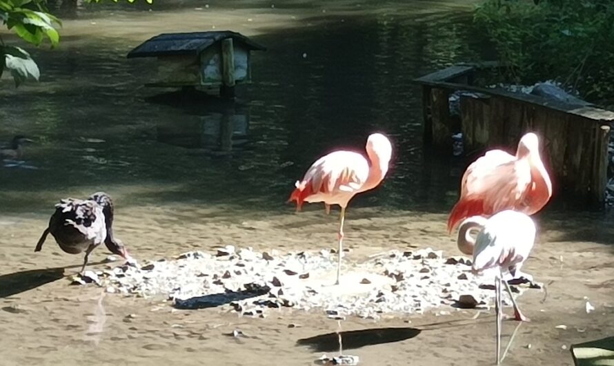 Auf einem Bein stehen