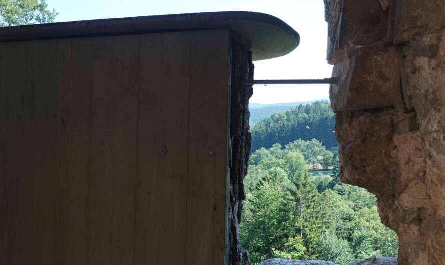 Bienen auf der Burg
